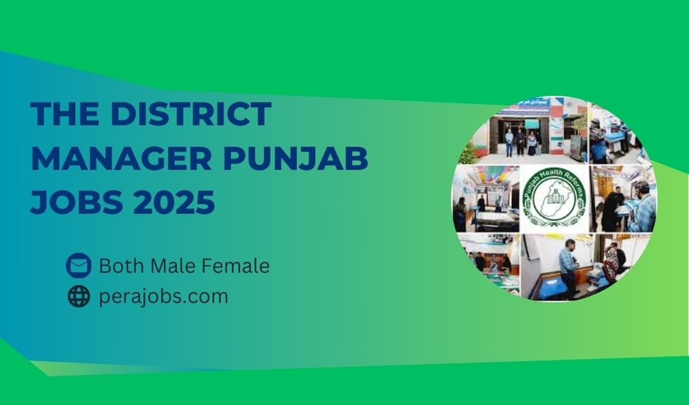 The District Manager Punjab Jobs 2025