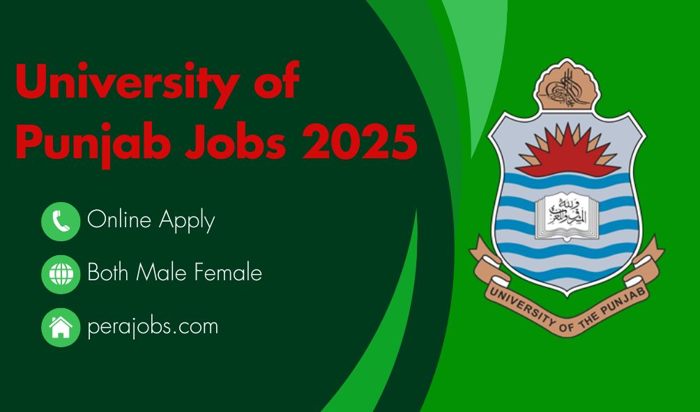 University of Punjab Jobs 2025